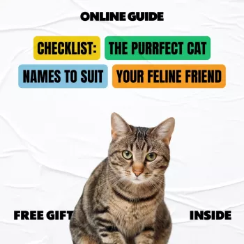 Cat Name Checklist: Popular & Unique Picks That Fit