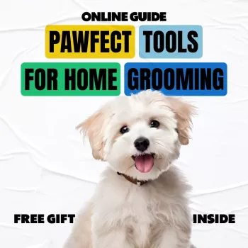 DIY Dog Grooming Tools Checklist: Easy Home Care Setup